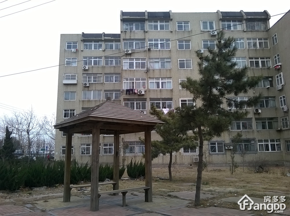 乐安支路8号小区小区图片