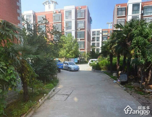 税务局家属院小区图片