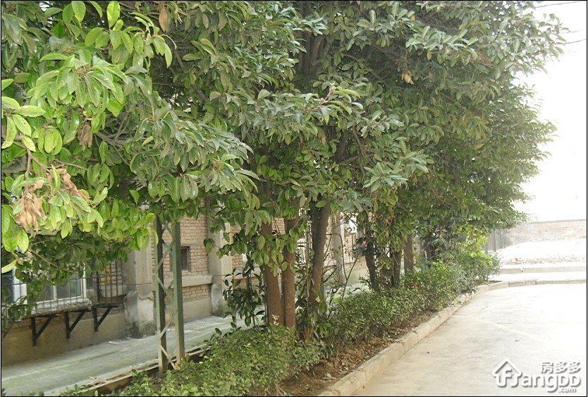 纬二十九街住宅小区小区图片