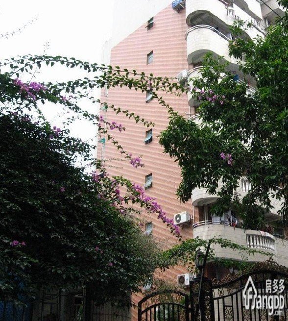 洋安公寓小区图片