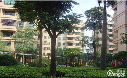 茶港小区小区图片