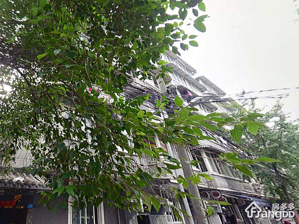 宽巷子11号小区图片