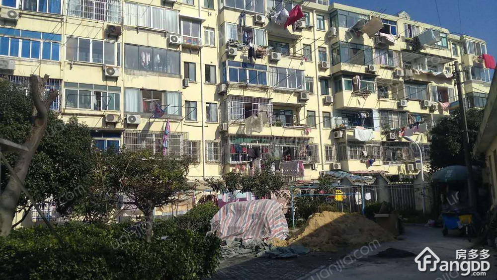 金杨新村十街坊小区图片