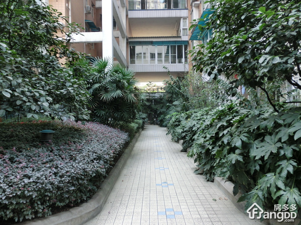 汇锦公寓小区图片