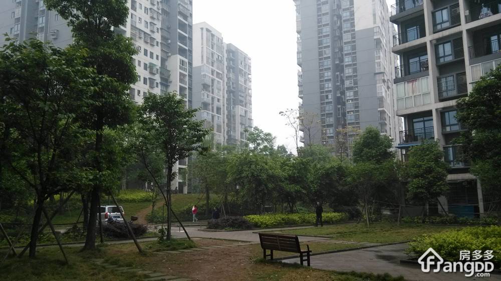 朝阳小区小区图片