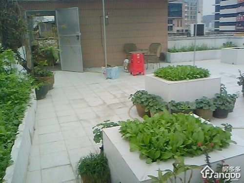 大良东华楼小区图片