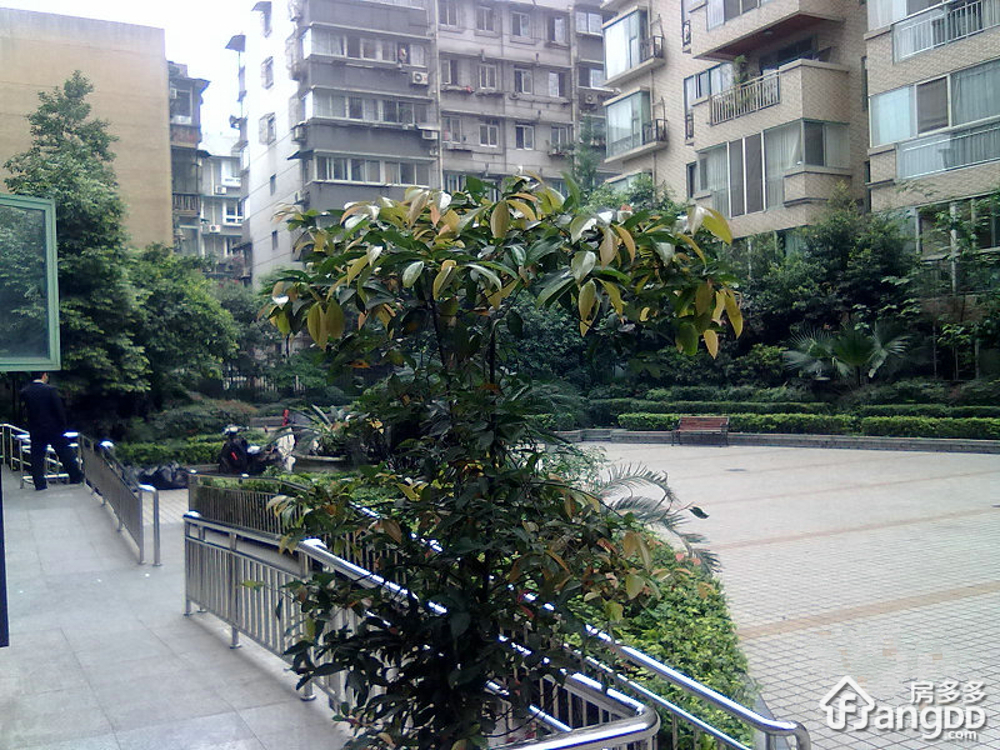 浆洗街5号小区图片