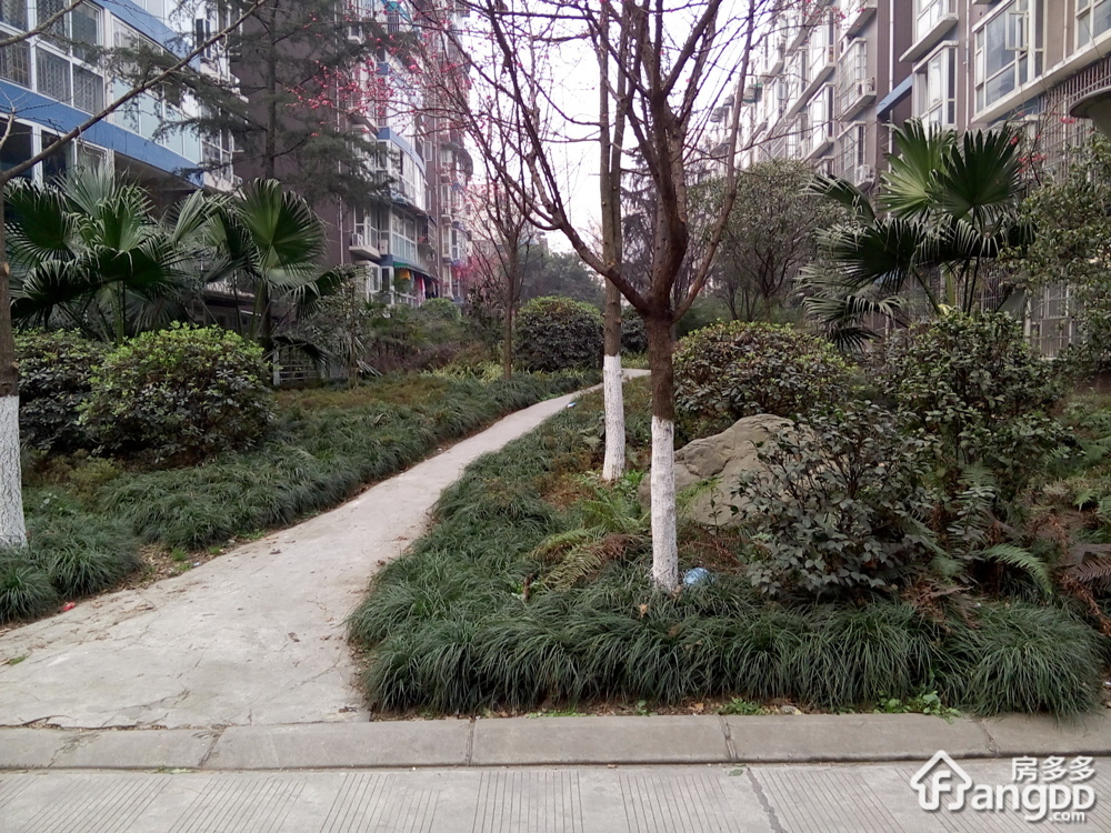 文昌路66号小区图片
