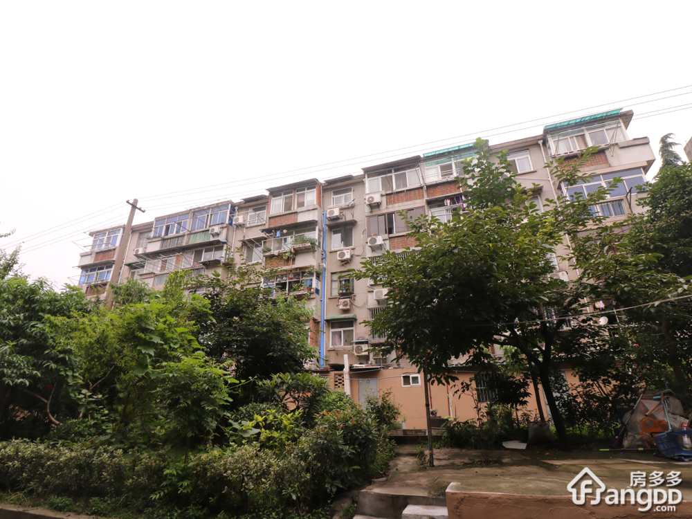 曹后村10号小区小区图片