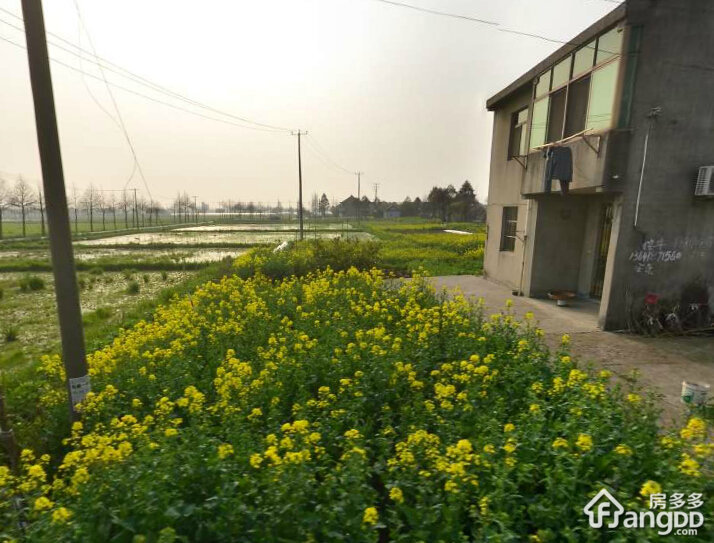 西郊新村小区图片