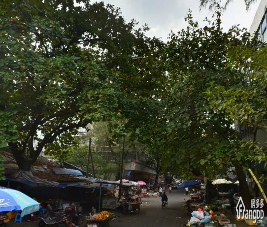 河西幸福路小区图片