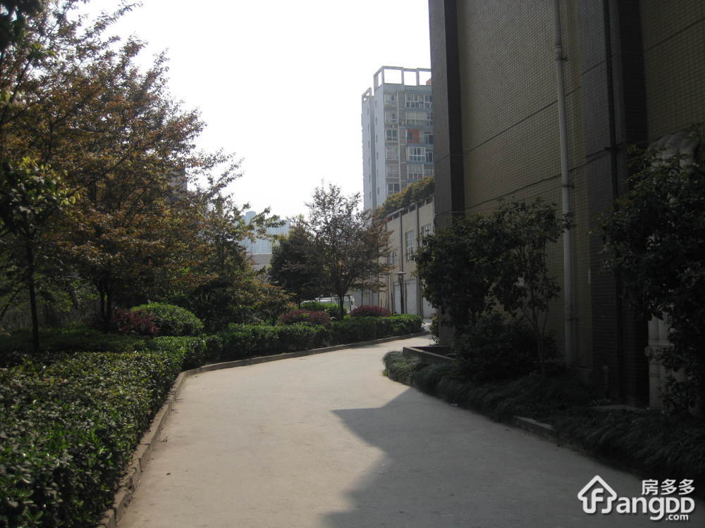 巴山星韵小区图片